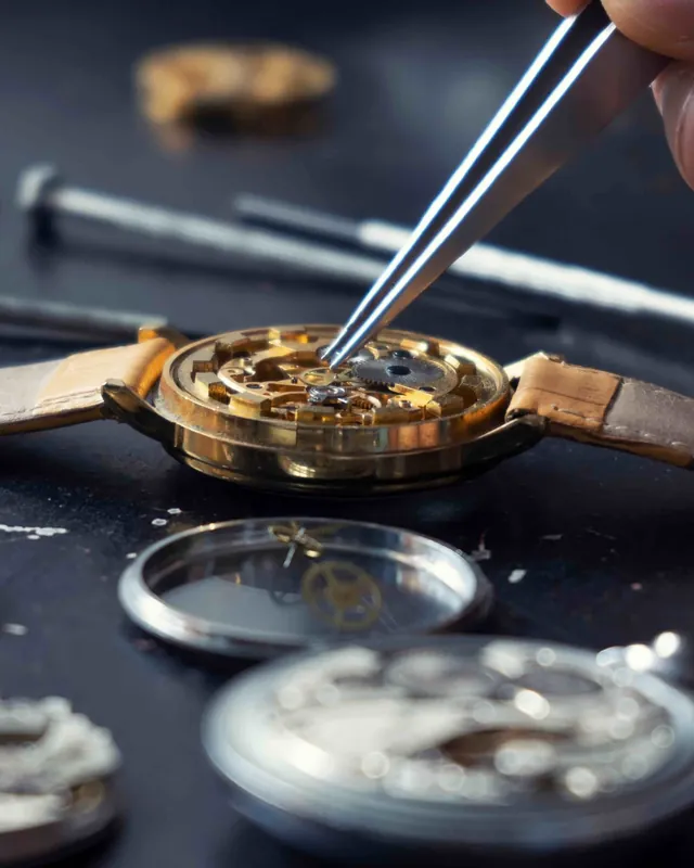 A watchmaker's tweezers at work in an open gold movement